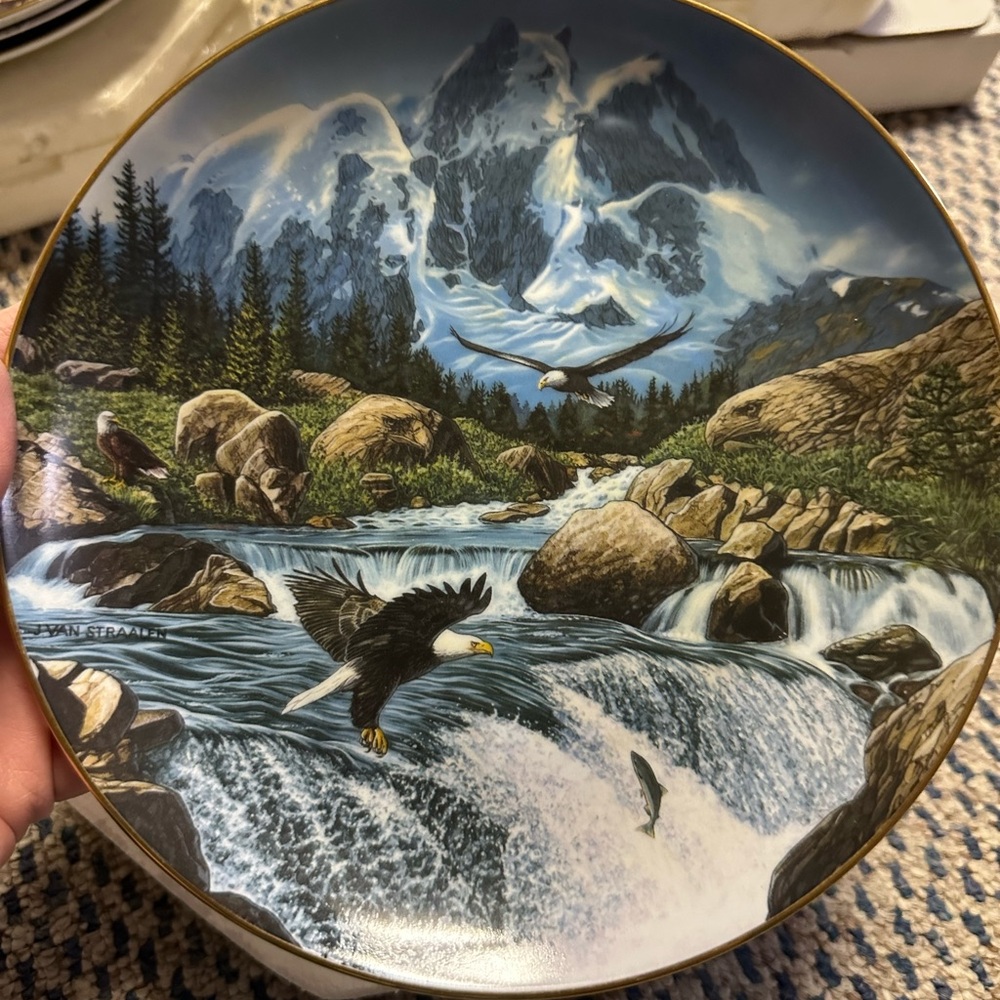 Scenic Mountain Eagle Plate
